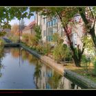 Die Natur in der Stadt