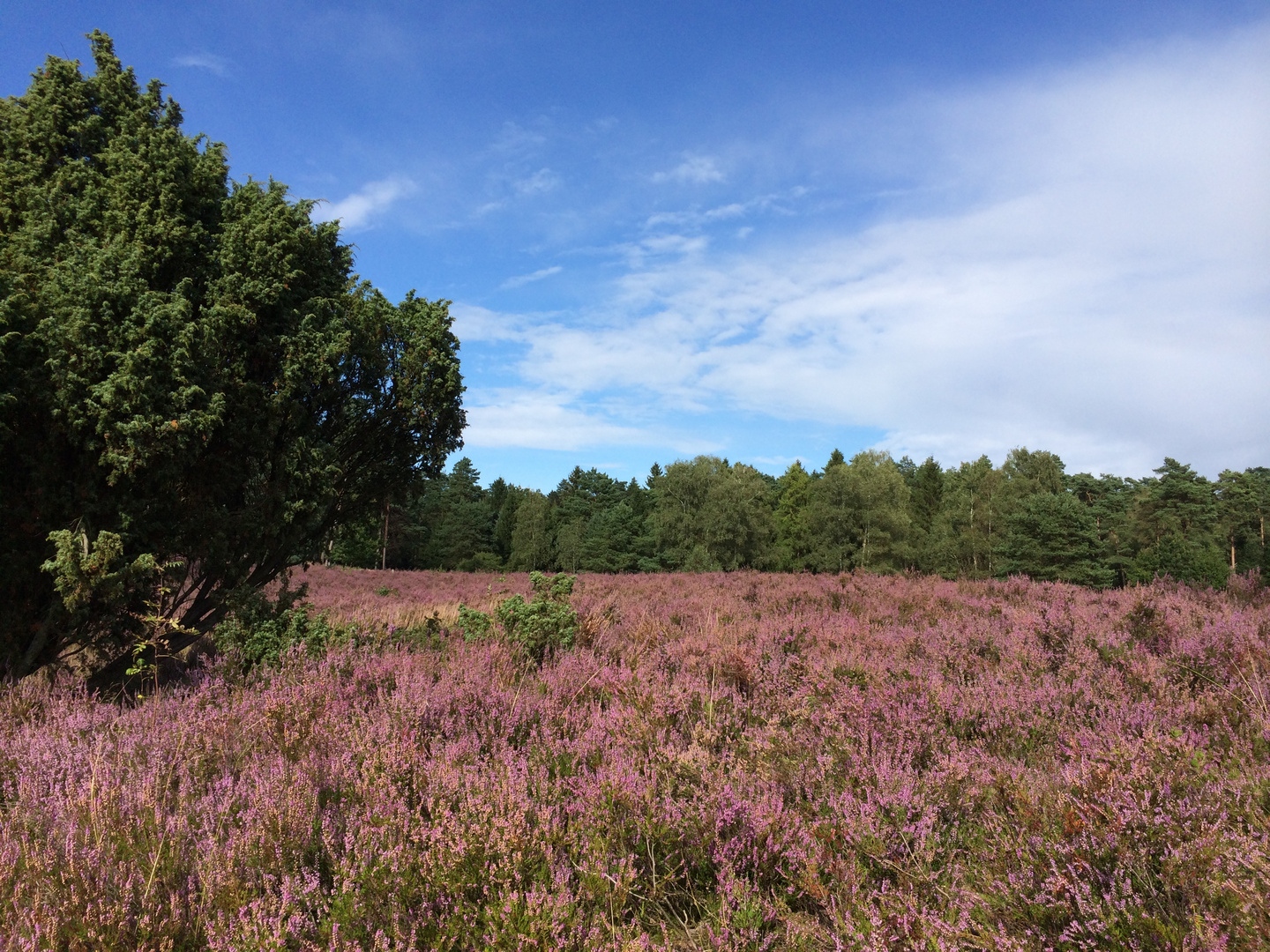 die Natur in ihrer ganzen Pracht