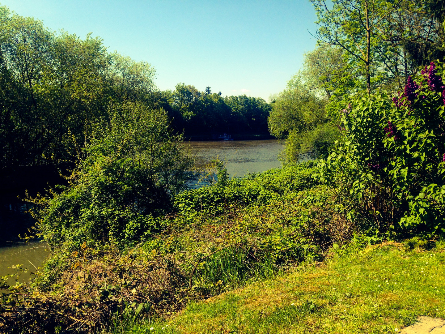 Die Natur in ihrer ganzer Fülle