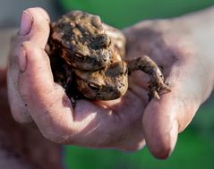 Die Natur in Kinderhand