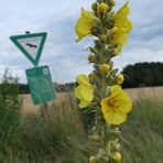 Die Natur in schwerer Schieflage?