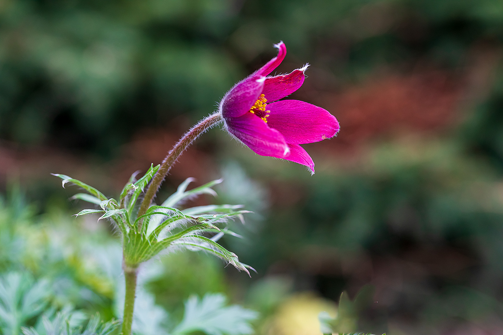 Die Natur ist durcheinander