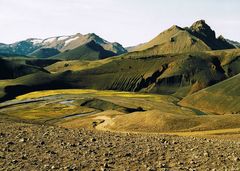 Die Natur ist ein unglaubliches Gedicht