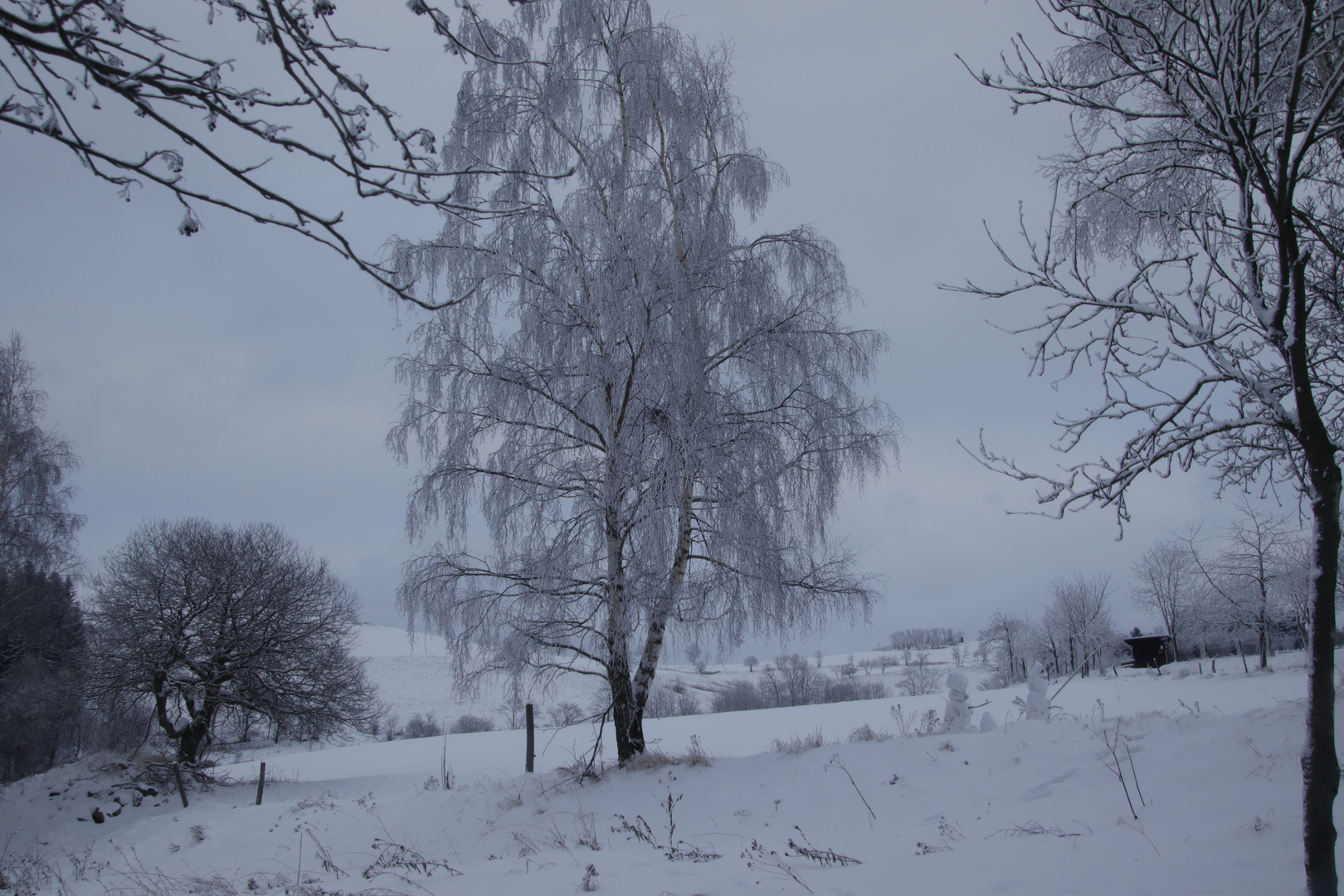 Die Natur ist eine Zauberin