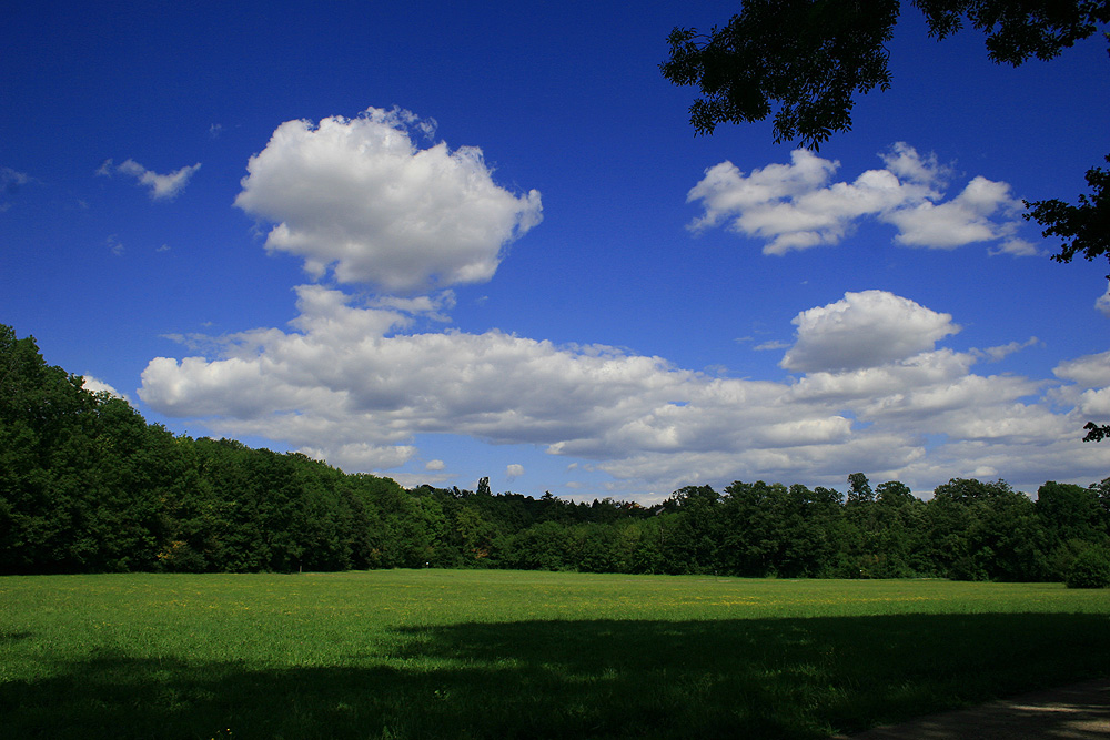 Die Natur ist einfach schön....