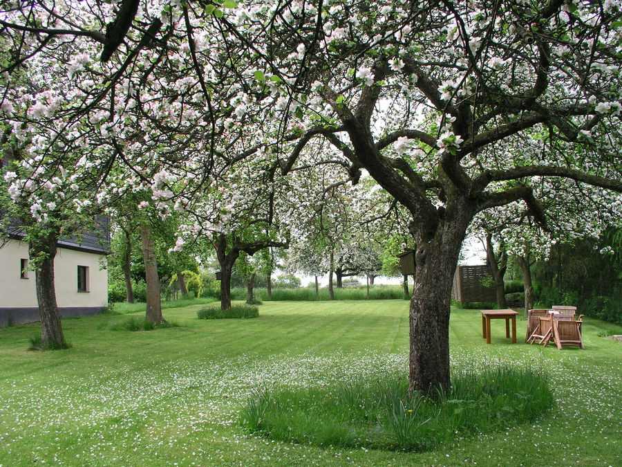 Die Natur ist erwacht