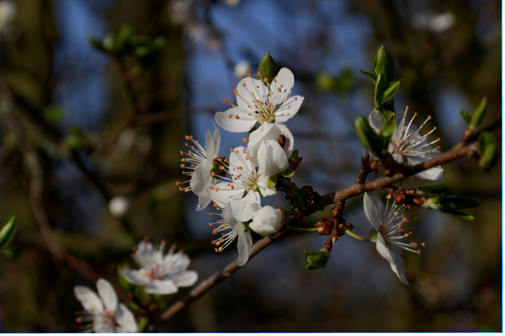 ..die Natur ist explodiert