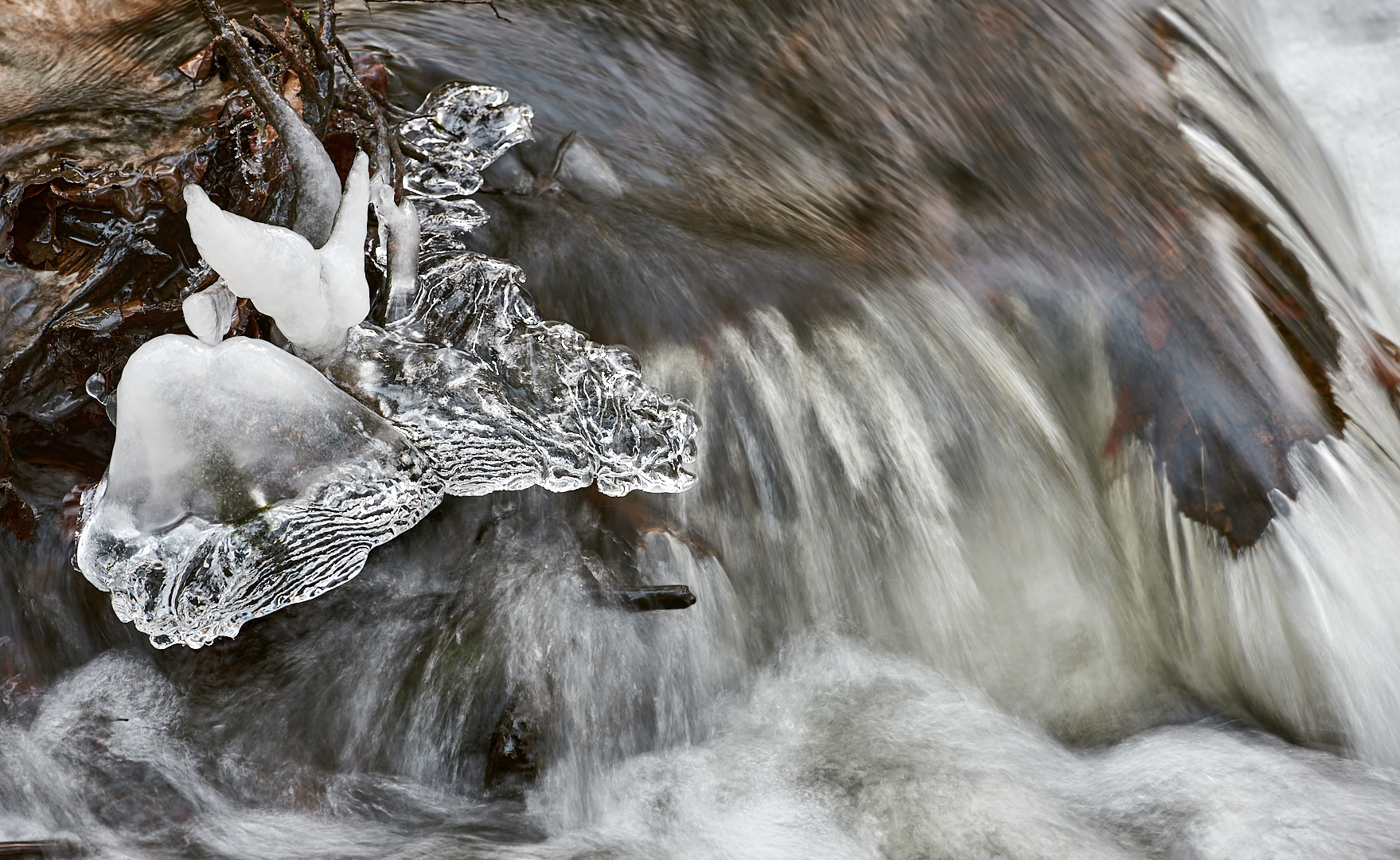 Die Natur ist für mich immer noch der größte Künstler, Winter von seiner schönsten Seite.