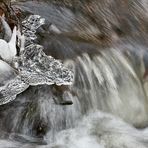 Die Natur ist für mich immer noch der größte Künstler, Winter von seiner schönsten Seite.