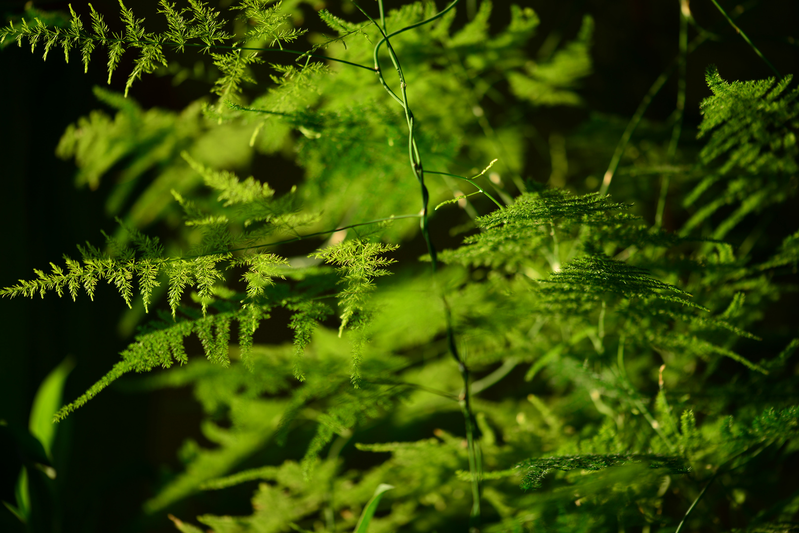 Die Natur ist Grün hinter den Ohren...