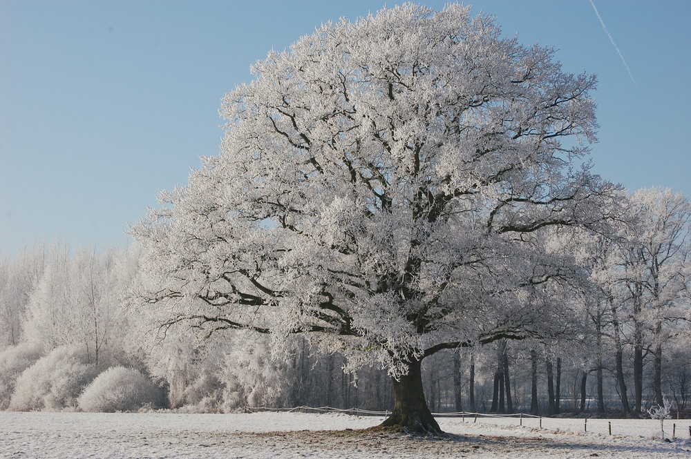 Die Natur ist so Schön...