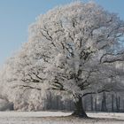 Die Natur ist so Schön...