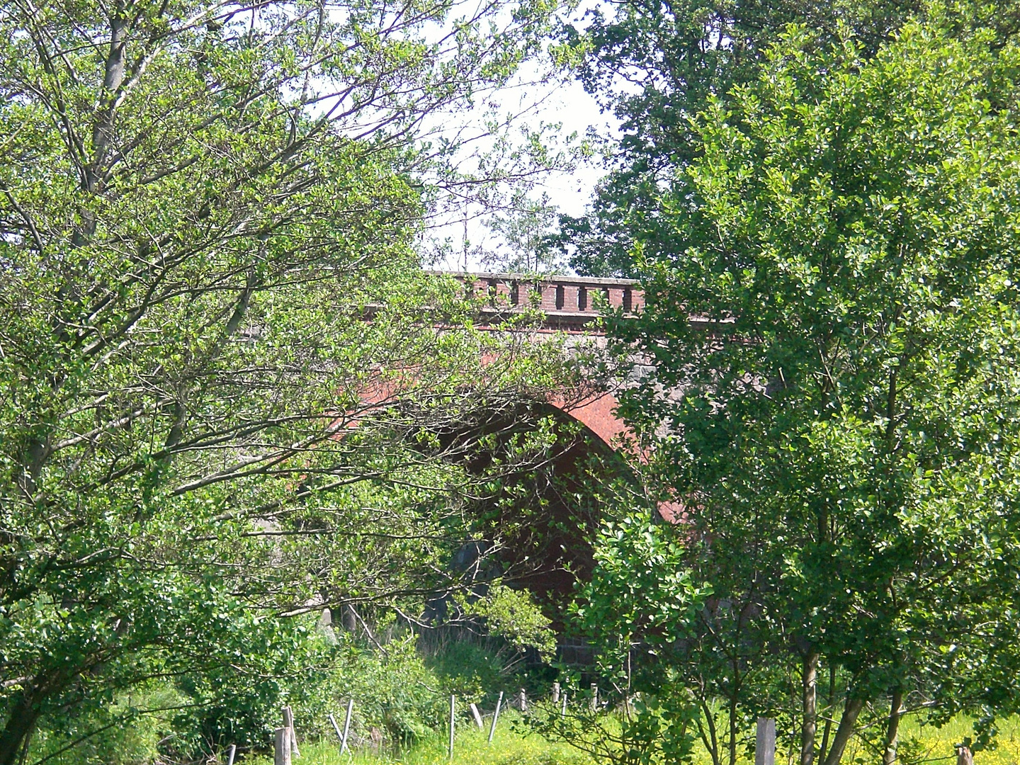 Die Natur ist stärker als die Bahn