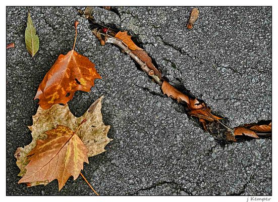 - die Natur ist stark -