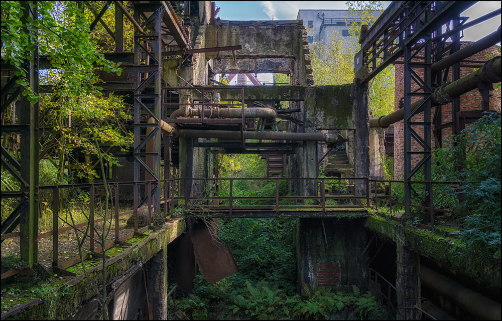 Die Natur kämpft sich zurück Foto & Bild | architektur, lost places, wirtschaftswunden Bilder ...