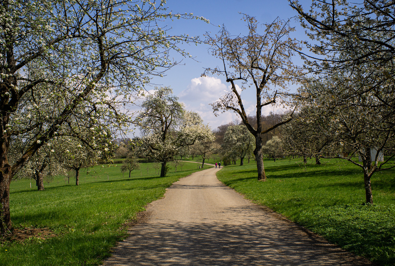 Die Natur kann uns niemand nehmen