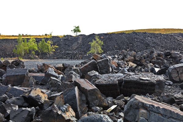 Die Natur kehrt zurück