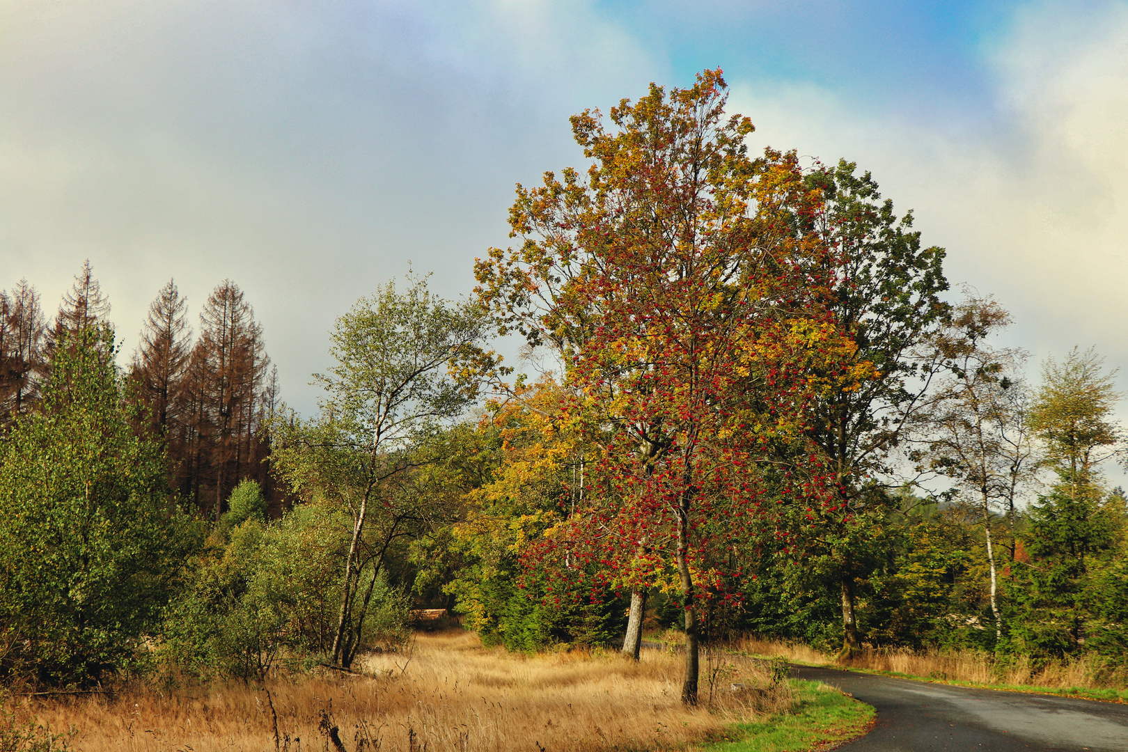 Die Natur kleidet sich allmählich in Herbstfarben
