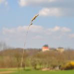 Die Natur kommt