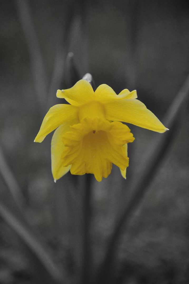 Die Natur kommt in Farbe