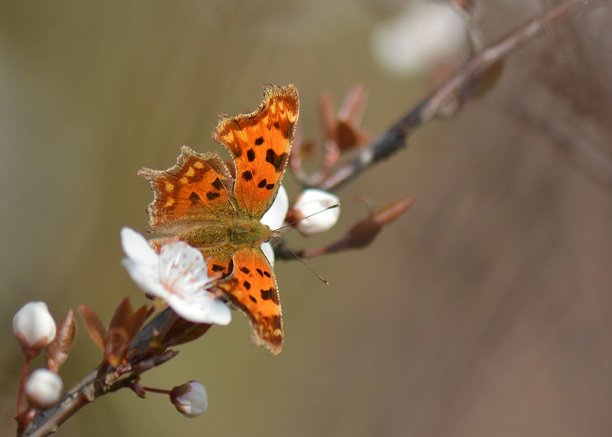 Die Natur kommt in Schwung