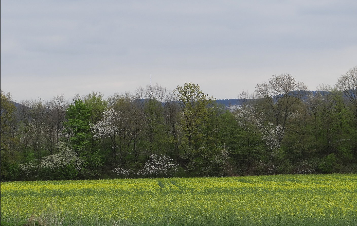 die Natur kommt in Schwung