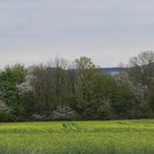 die Natur kommt in Schwung