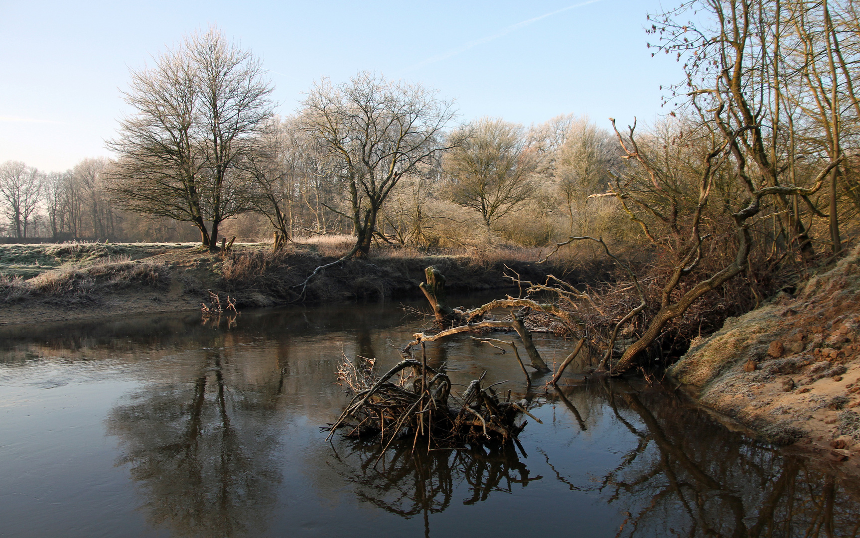 - Die Natur kommt zurück -