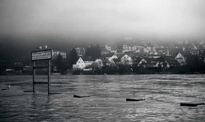 Die Natur kommt zurück....