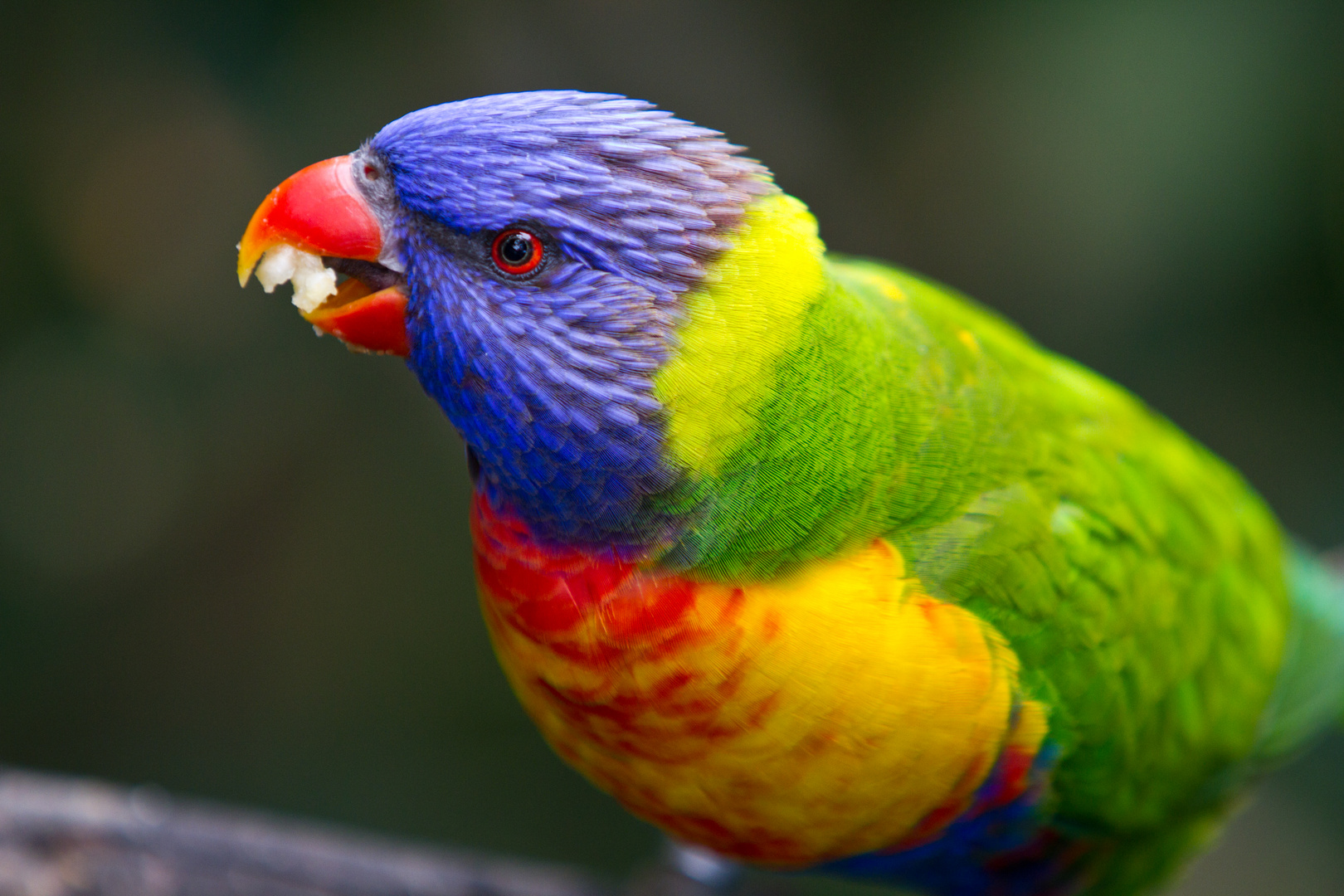 Die Natur kreiert die schönsten Farben