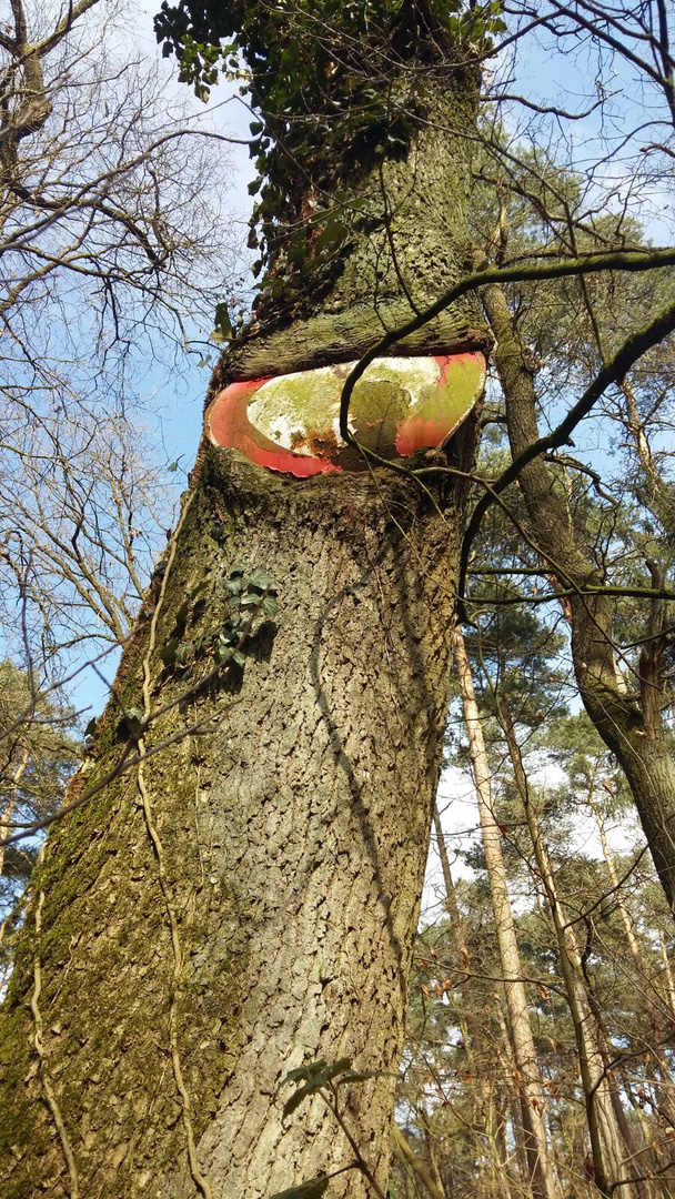 Die Natur lässt sich nicht gefallen.