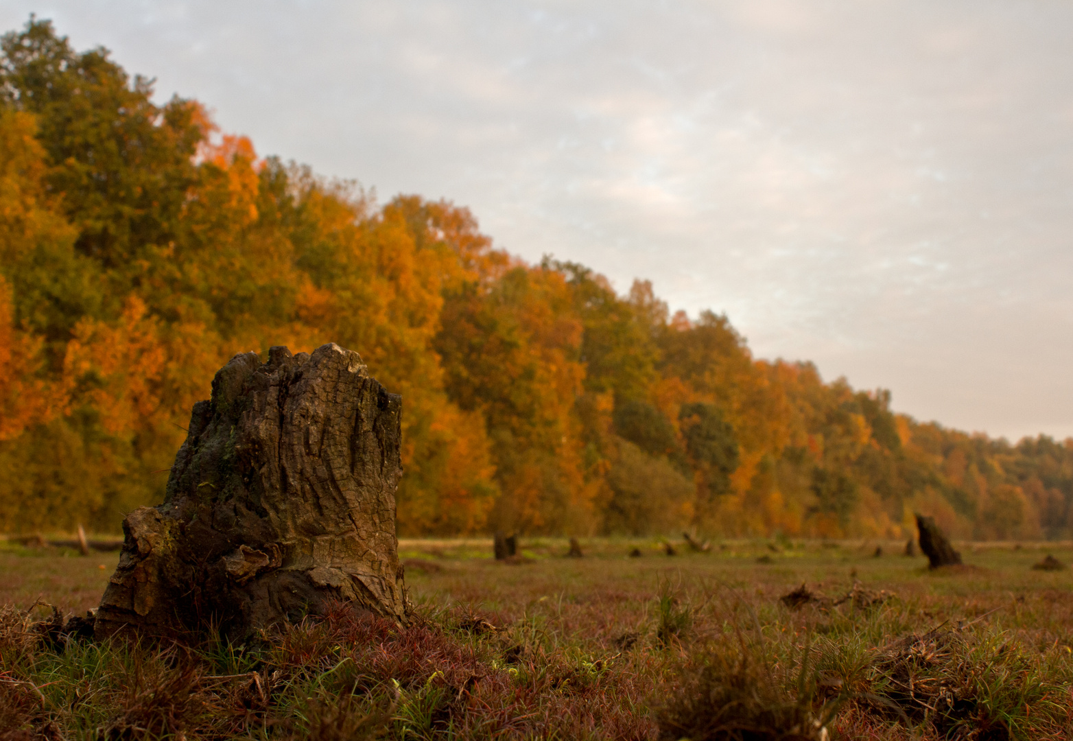 Die Natur legt sich schlafen...