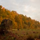 Die Natur legt sich schlafen...