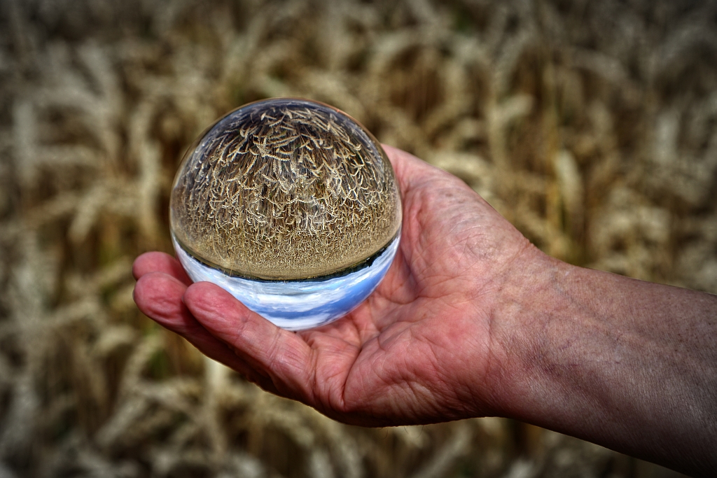 die Natur liegt in unserer Hand