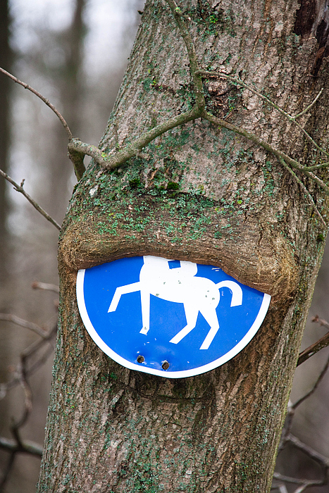 Die Natur löst maches auf Ihre Weise!