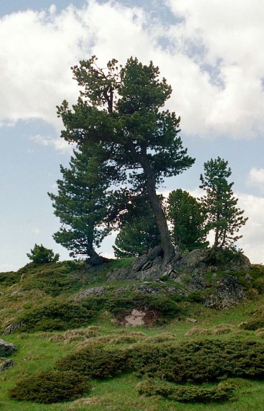 Die Natur macht es möglich