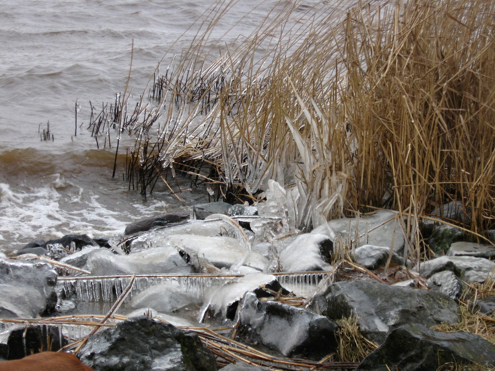 Die Natur macht ihre eigenen Eissculpturen!!!