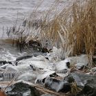 Die Natur macht ihre eigenen Eissculpturen!!!