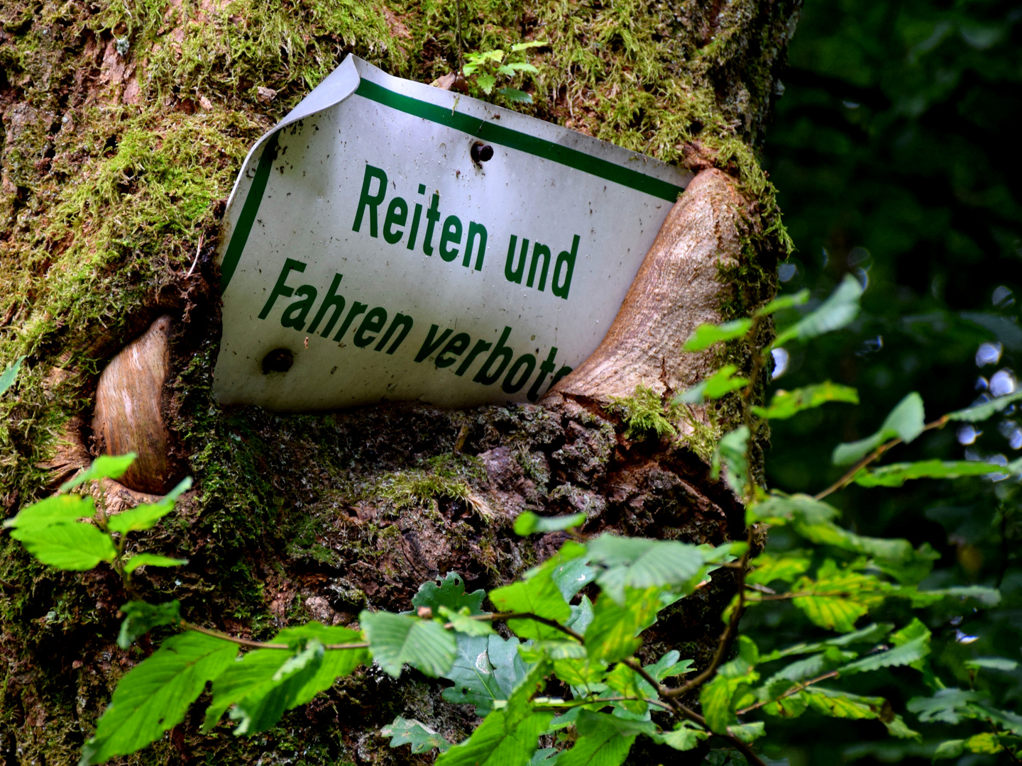 Die Natur mag keine Verbote.