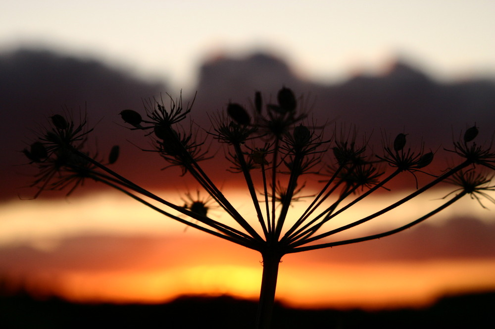 Die Natur malt am schönsten