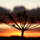 Die Natur malt am schönsten