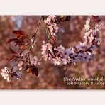 Die Natur malt die schönsten Bilder