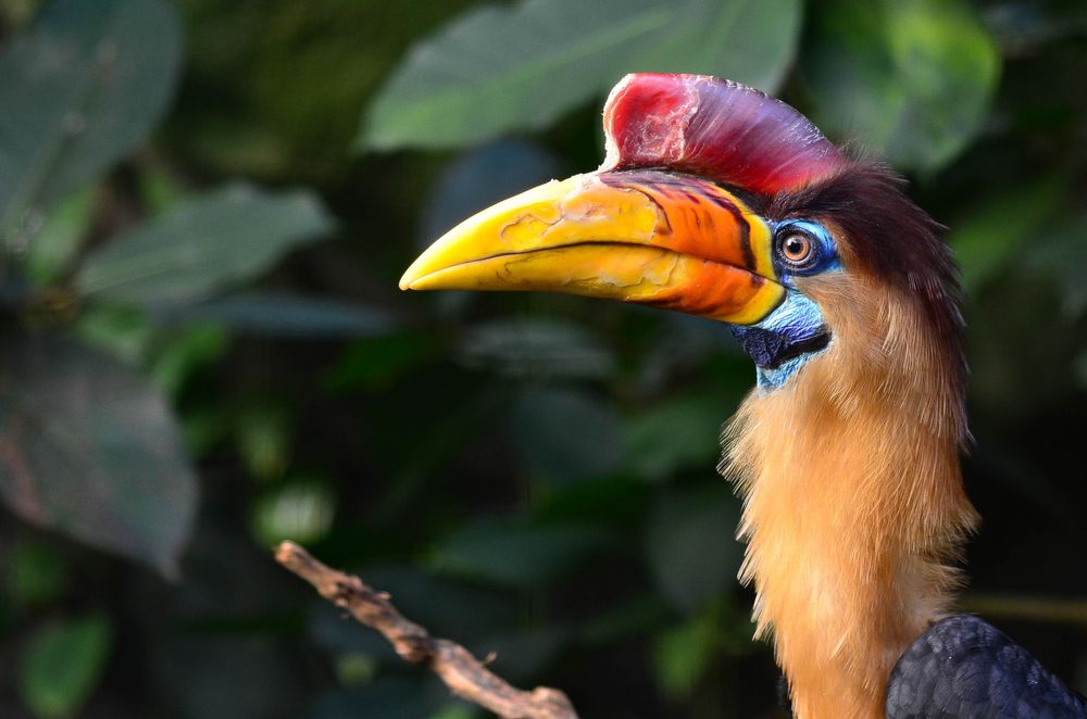 Die Natur malt die schönsten Bilder