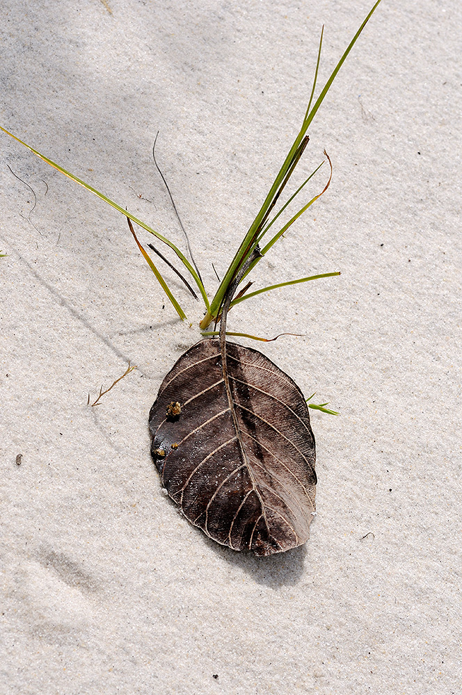 Die Natur malt die schönsten Bilder