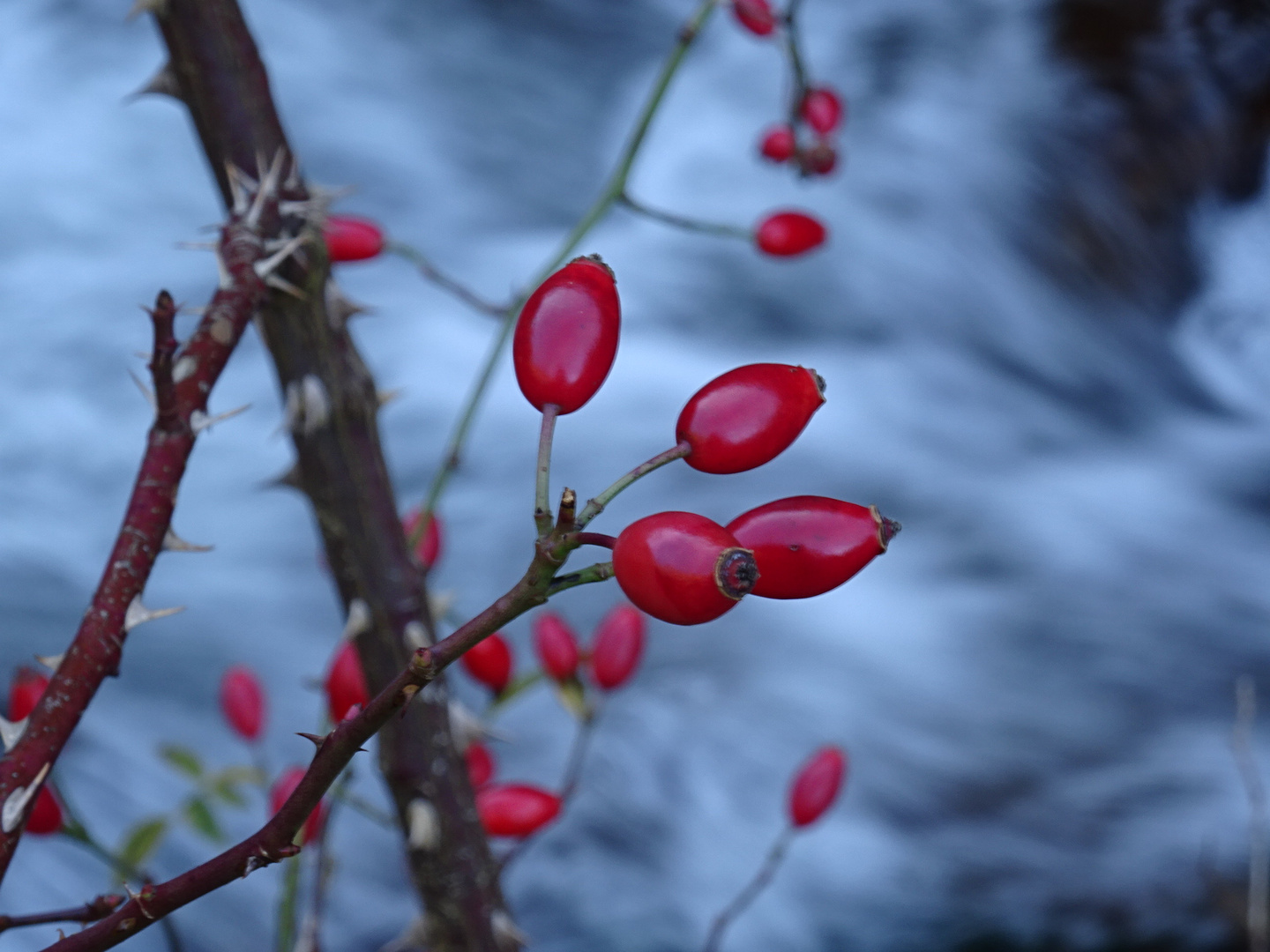 Die Natur malt die schönsten Bilder