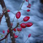 Die Natur malt die schönsten Bilder