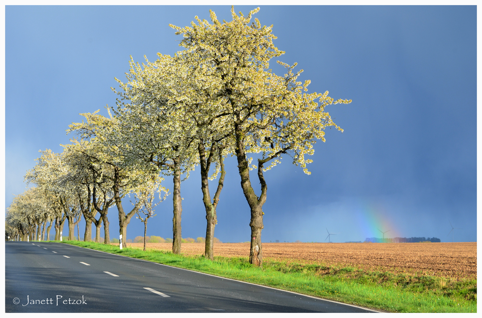 Die Natur malt die schönsten Farben…