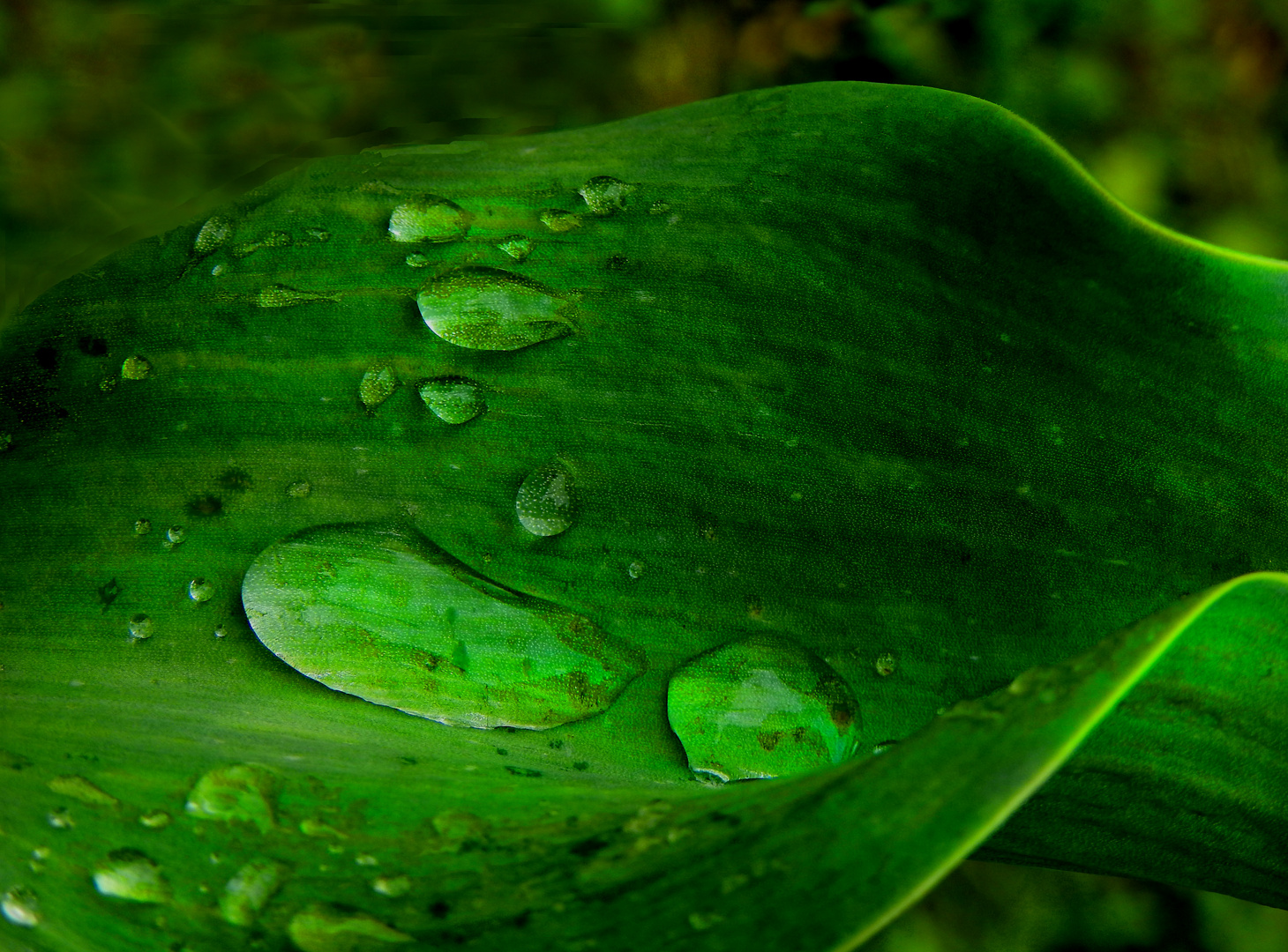 Die Natur malt ihre eigenen Bilder.