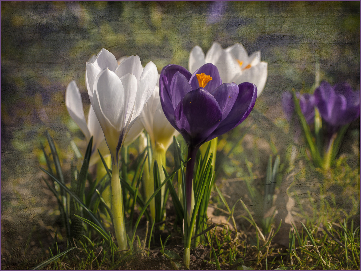 Die Natur malt mit den schönsten Farben