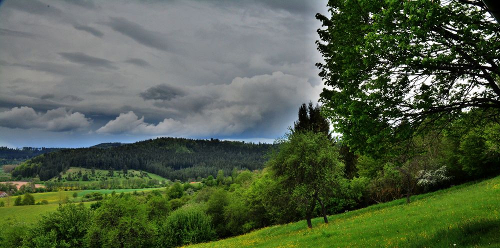 Die Natur malt und ich sieh zu !